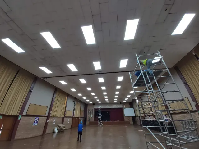 Panel and light installation